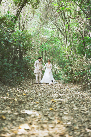 結婚写真を楽にしたいカップル必見｜お手軽撮影プランガイド