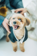 フォトウェディングの指示書は必要？