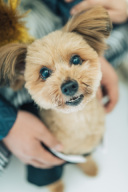 日本伝統の和装でソロウェディング