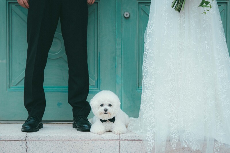 運命の1枚をこの場所で~山手ヘレン教会~