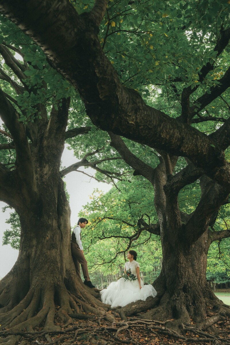 木漏れ日と緑に囲まれて~根岸森林公園~