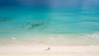 壮大なドローン撮影