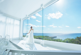 【期間限定】新プラン登場！