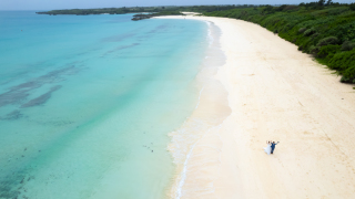 【オプション紹介】ドローン写真