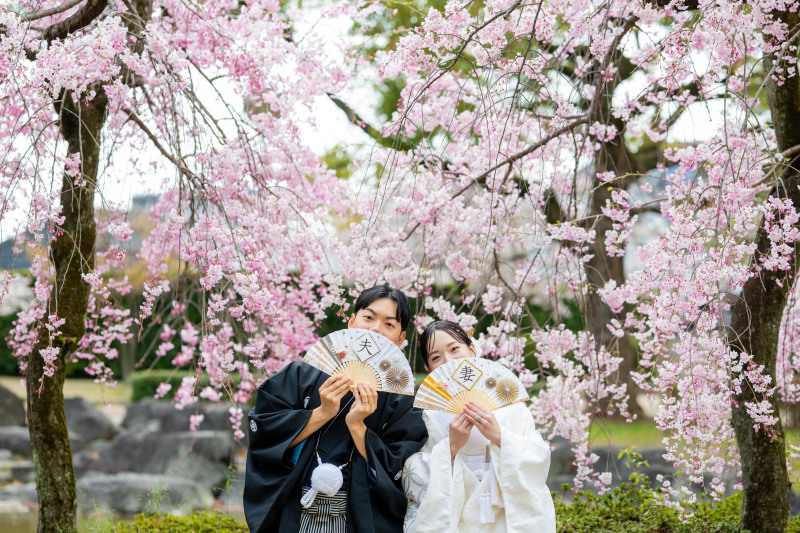 【桜のロケーションフォト】桜シーズン到来!ご予約はお早めに♪