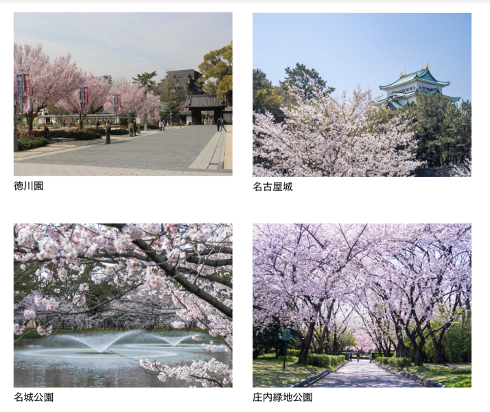 【桜のロケーションフォト】桜シーズン到来!ご予約はお早めに♪