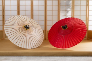 ”思い出したい1日を…振り返る一枚に”