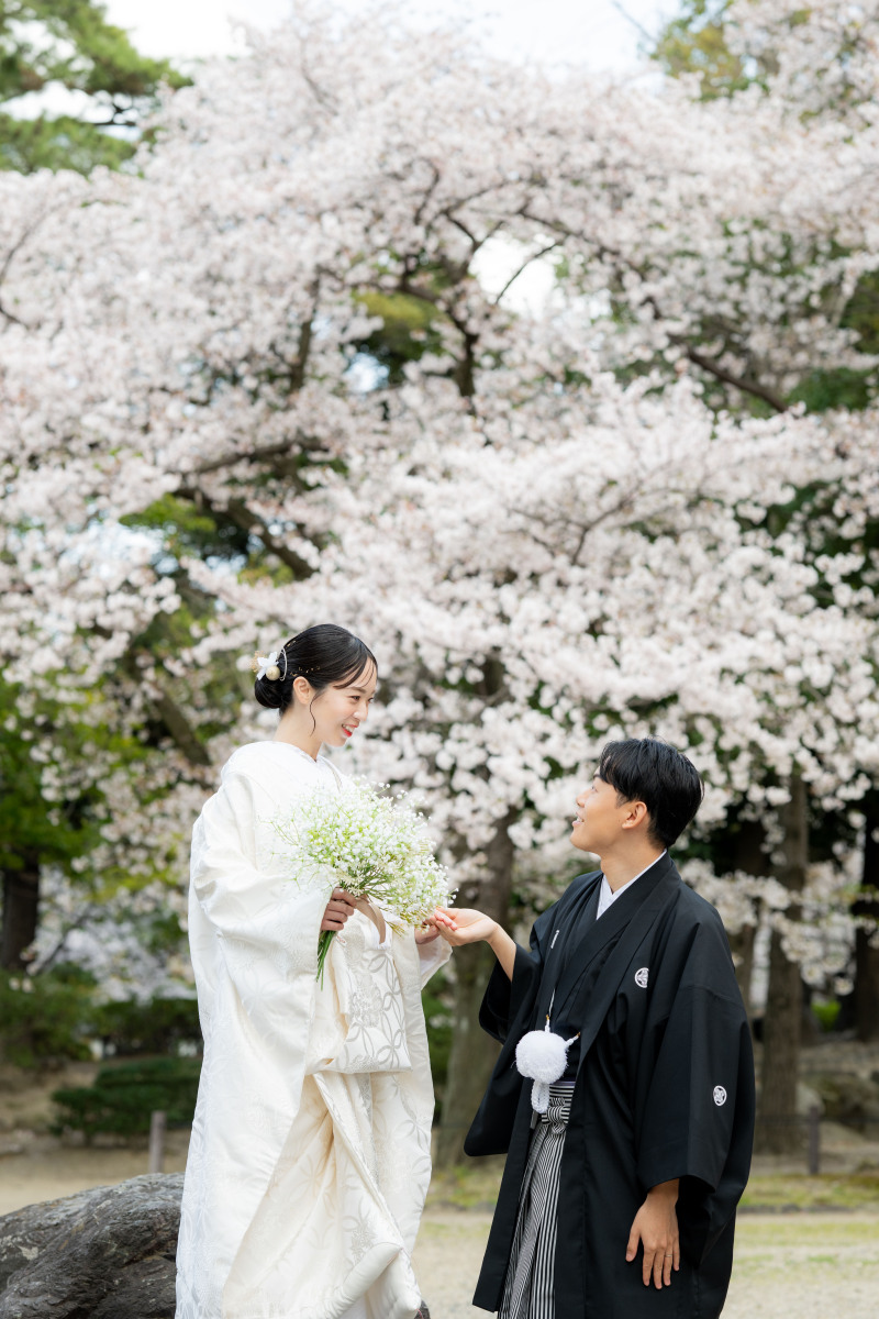 【桜のロケーションフォト】桜シーズン到来!ご予約はお早めに♪
