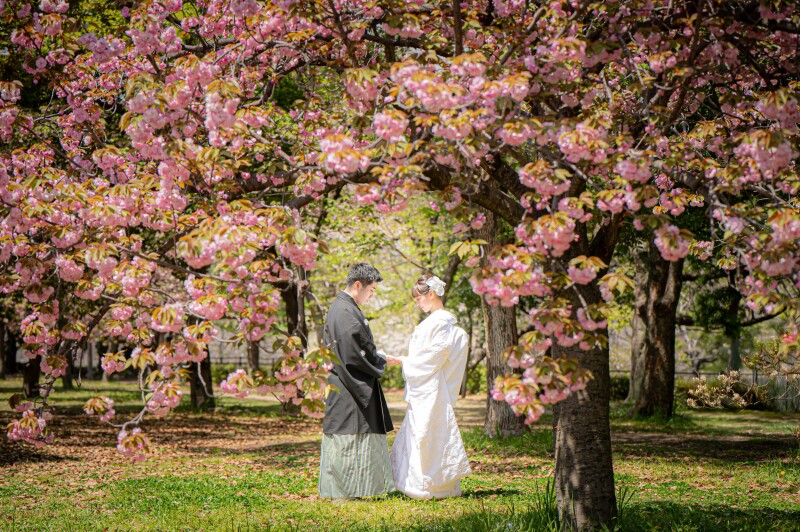 大阪城&times;桜ロケ