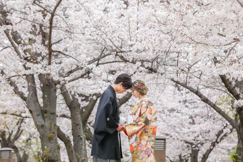 【桜・新緑】ロケーション撮影相談会　成約特典２万円割引！！