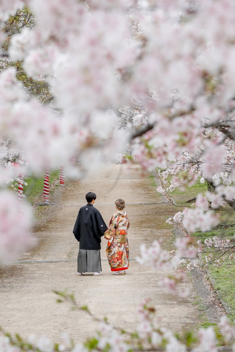 【桜・新緑】ロケーション撮影相談会　成約特典２万円割引！！