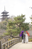 三溪園でのロケーション撮影☆