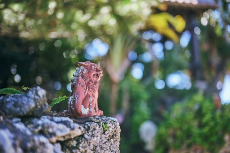 フォトウェディングにとってもおススメ！観光名所”竹富島”