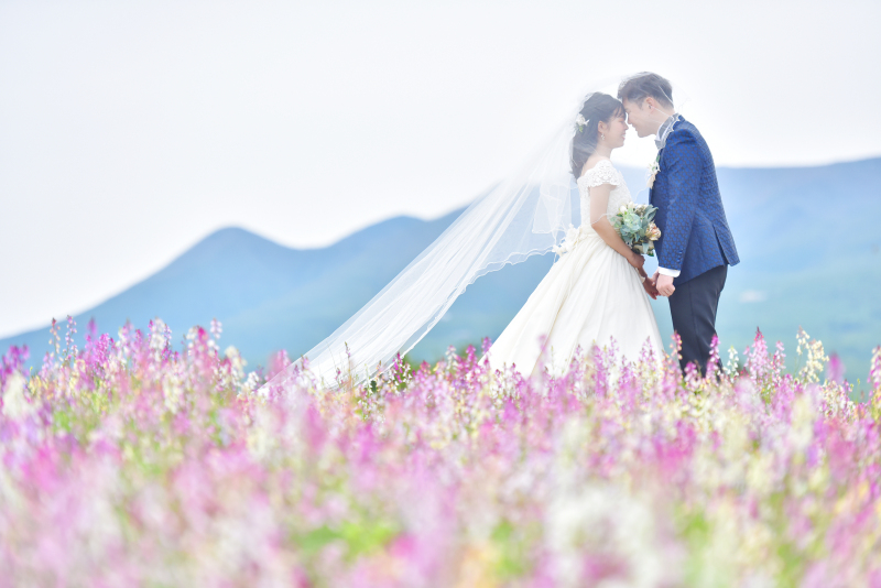 映画の世界のようなお花畑