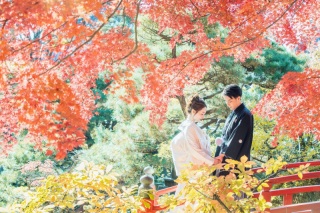 ドレスも和装もピッタリ! 秋に撮りたいウェディングフォト