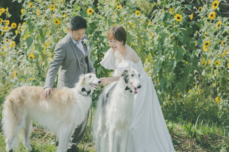 ウェディングフォト前撮りで「洋装」と「和装」迷ったらどうする？