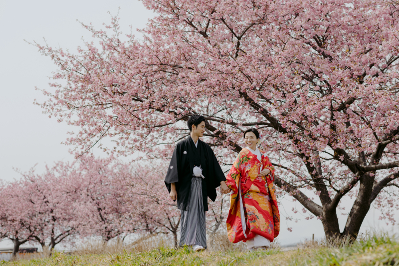 【早割】桜フォトキャンペーン｜期間限定でお得に春の前撮り！