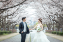 桜のロケーションで結婚式の前撮り・フォトウェディング＊