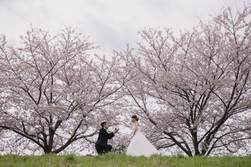 【早割】桜フォトキャンペーン｜期間限定でお得に春の前撮り