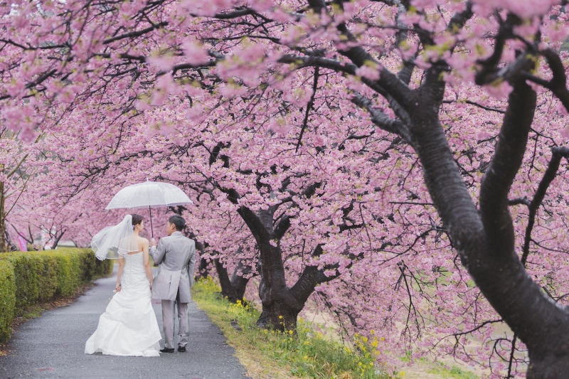 ウェルカムボードにも！？ 前撮り写真6つの活用アイデア