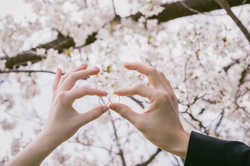 【早割】桜フォトキャンペーン｜期間限定でお得に春の前撮り