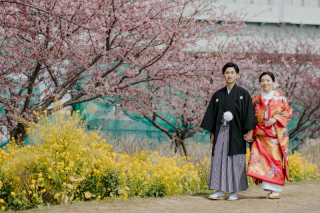 河津桜ロケーションフォト 河津桜キャンペーン！！