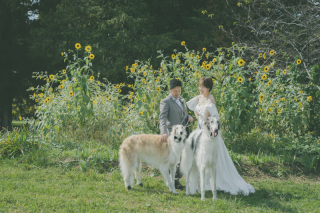  大切なペットと一緒にフォトウェディングを残してみませんか？