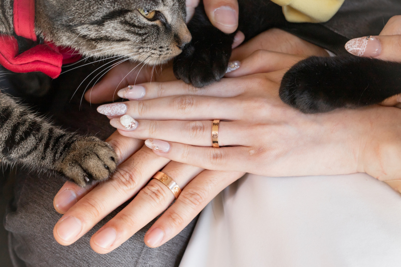 ペットも大切な家族だから。ペットと映るほんわかウェディングフォト