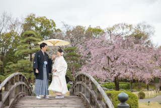 【早割】春フォトキャンペーン｜春のフォトウェディングをお得に