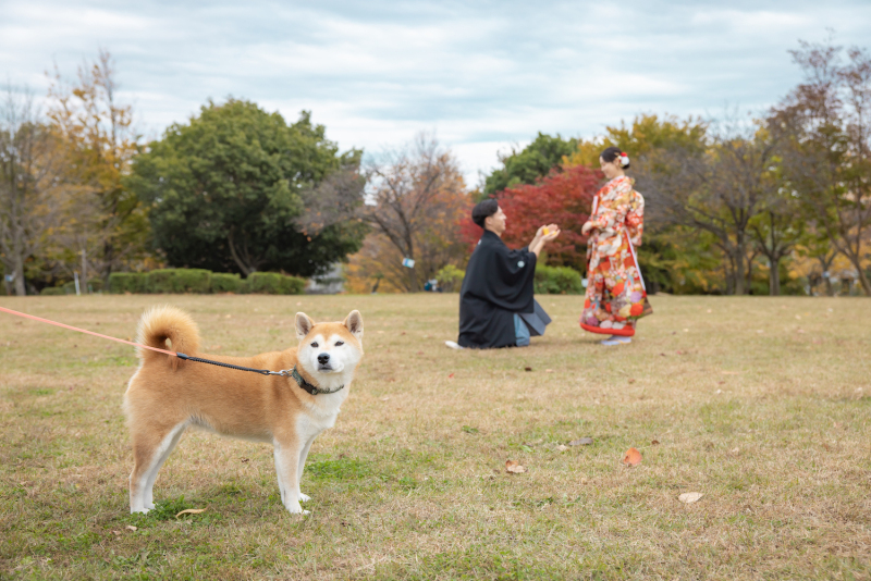 みんなどうしてる？　ウェディング写真のポーズのご紹介！！