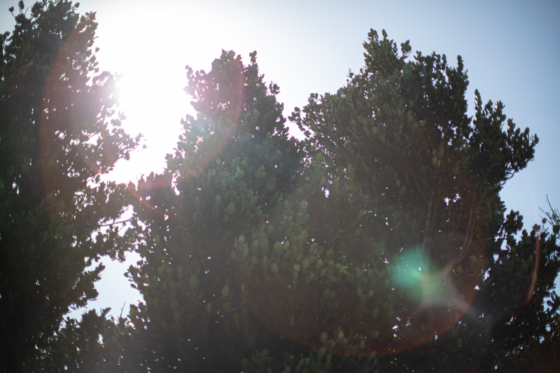 12月の沖縄での撮影