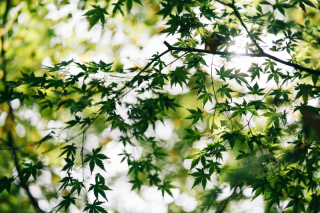 ただいま!お久しぶりです。