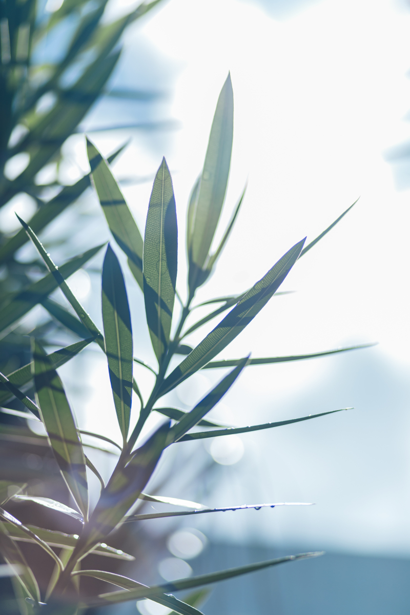 10月〜11月のサンセットフォト