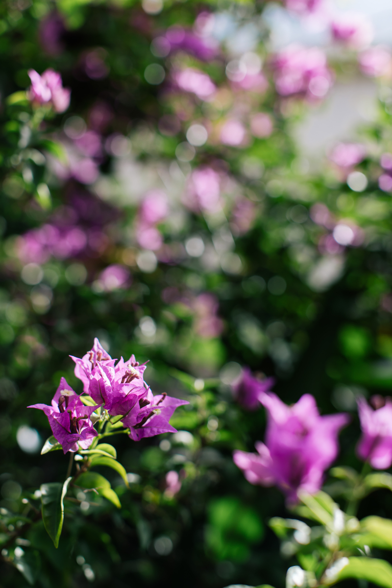最近の沖縄の天気