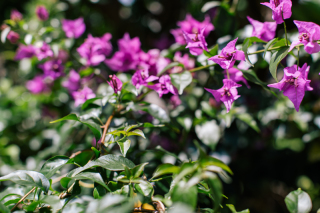 ♦︎沖縄でフォトウェディングしたいけどいつがいい♦︎