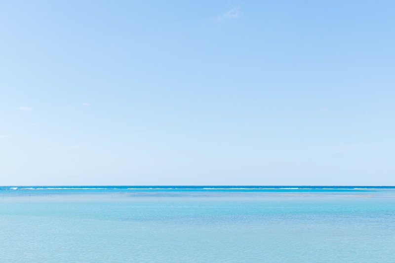 12月の沖縄での撮影