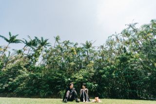 あなたはまだ沖縄の緑を知らない