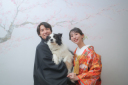 ペットと一緒に残すフォトウェディング