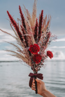 手軽に撮影したいならこれ!!