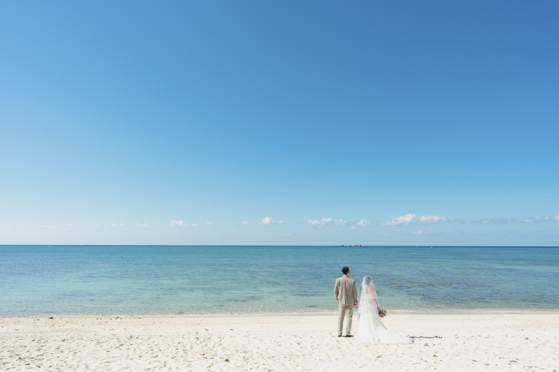 モニタープランのご紹介♩