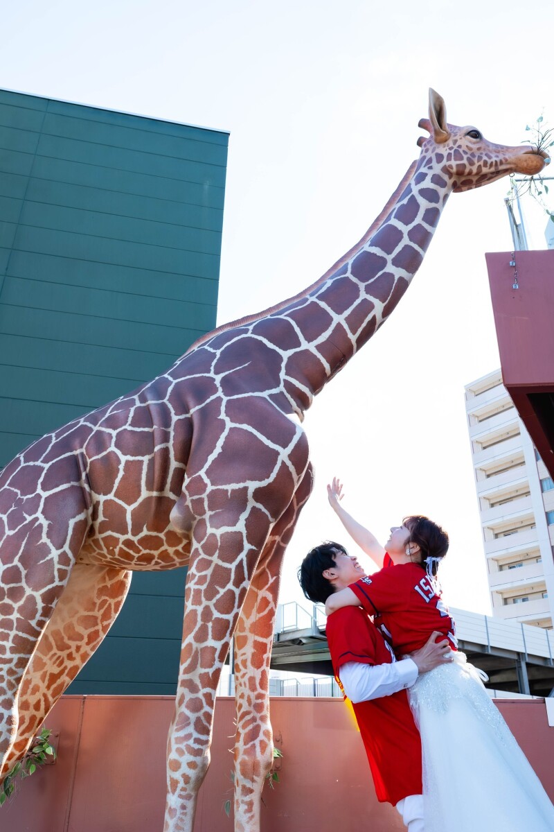 マツダスタジアムロケーション撮影