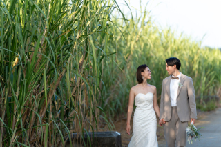 青い海とあわせて撮影したい！＼宮古島グリーンショット／