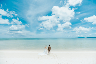 後ろ姿で語る「バックショット」