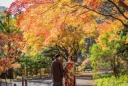 紅葉と光に包まれる"秋だけの"贅沢撮影体験