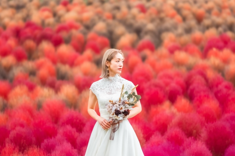 紅葉と光に包まれる"秋だけの"贅沢撮影体験