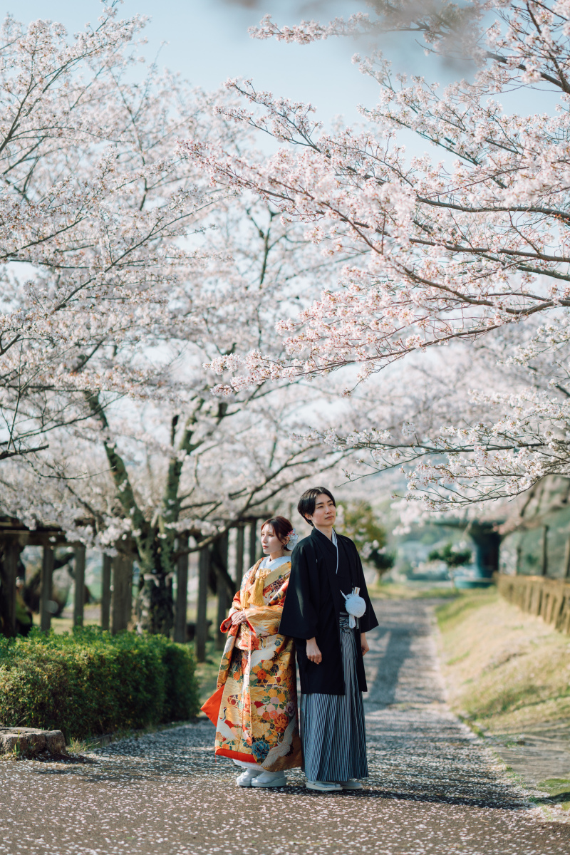 満開の桜に包まれて。穴場スポットで叶える和装ロケーション前撮り
