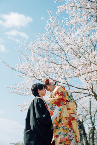 満開の桜に包まれて。穴場スポットで叶える和装ロケーション前撮り