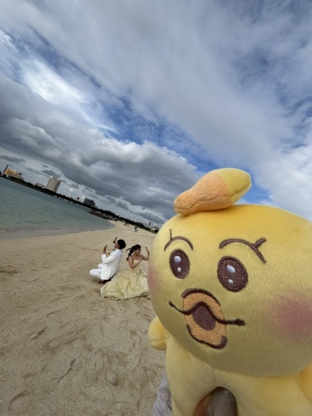 撮影までの流れをご紹介！