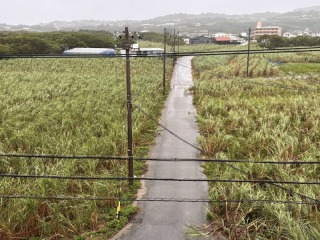 台風13号が過ぎたら、いよいよ撮影スタート！