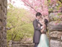 年明けの沖縄旅行は桜を楽しもう!
